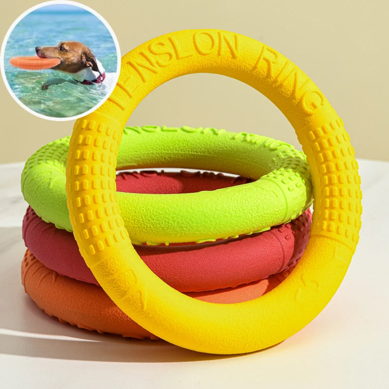 Dog Exercise Pull Ring